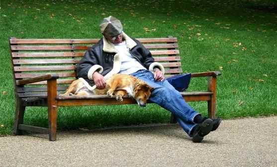 Somnolence diurne